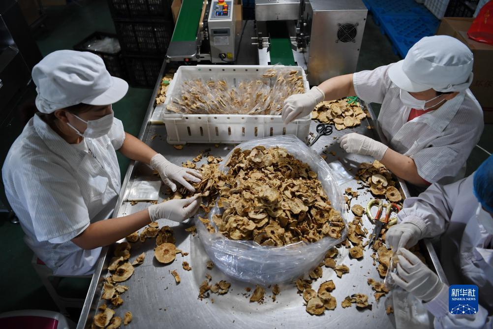 百家乐龙宝